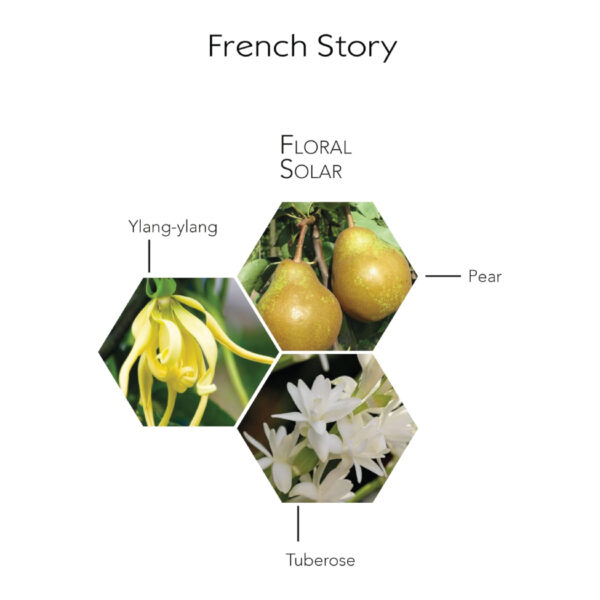 جورج ريش فرنش ستوري للنساء - او دى بارفان، 100 مل - GEORGES RECH FRENCH STORY EDP 100ML - Image 3